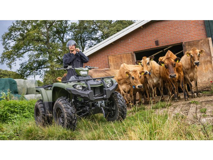 Kodiak 450 EPS