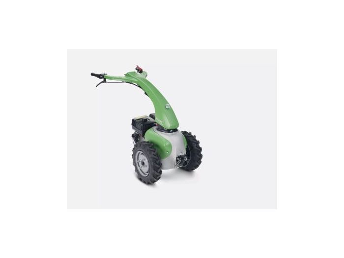 RAPID MONDO M091