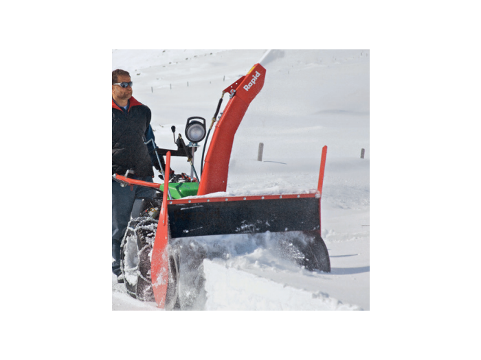 FRAISES A NEIGE 1568