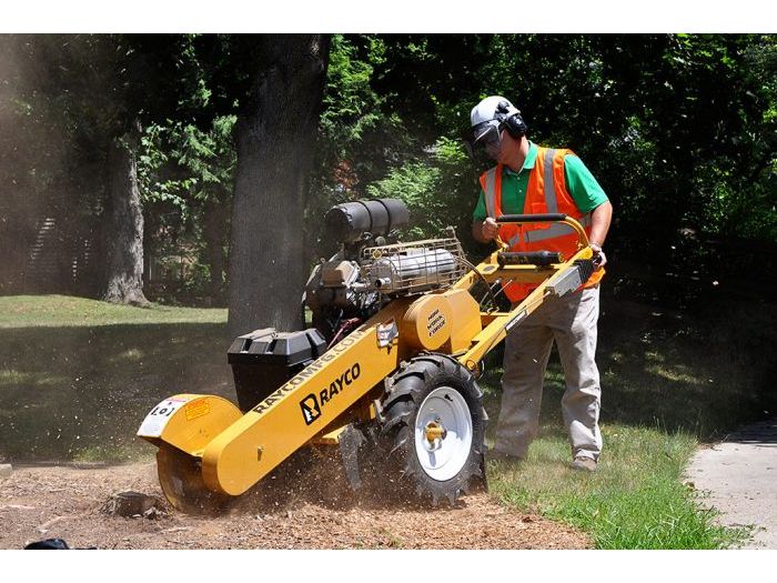 RG 25 HD Stump Cutter