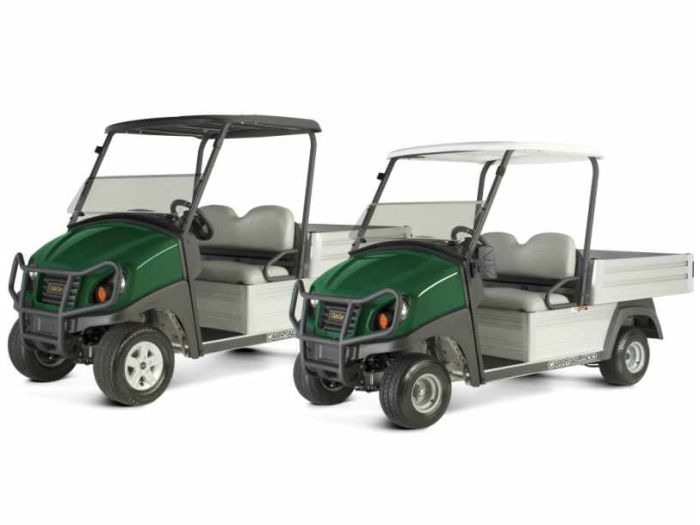 CARRYALL 300 TURF ELECTRIQUE