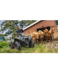 Kodiak 450 EPS