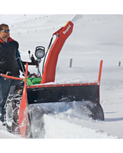 FRAISES A NEIGE 1563