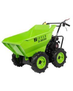 ZI-RD300
